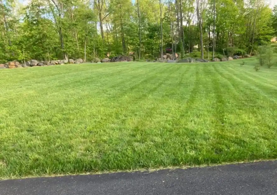 Lawn Maintenance Services